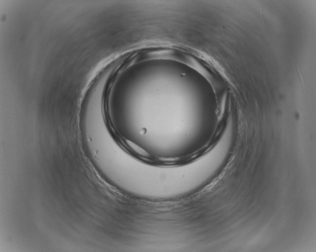 X0000071851168200606301330