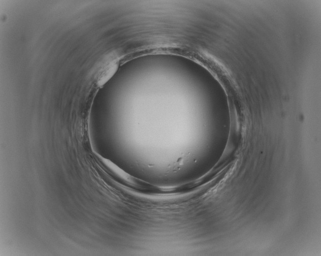 X0000071851169200606301330