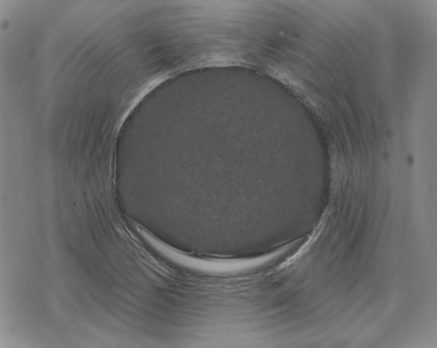 X0000071851170200606301330