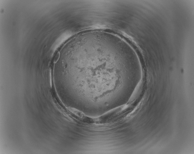 X0000071851171200606301330