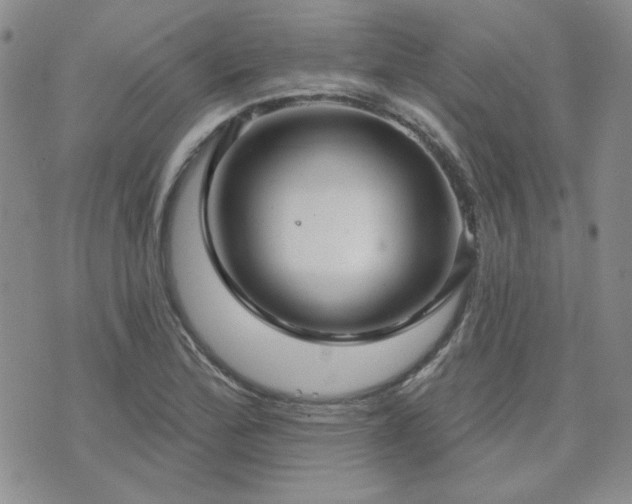 X0000071851172200606301330