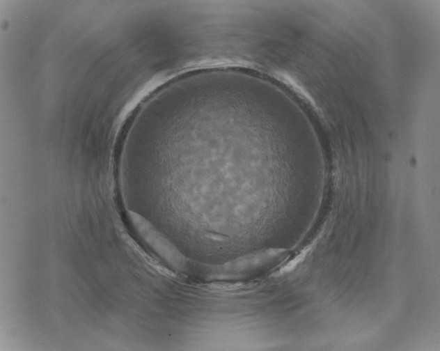 X0000071851173200606301330