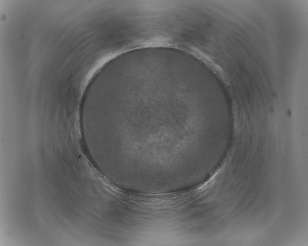 X0000071851174200606301330