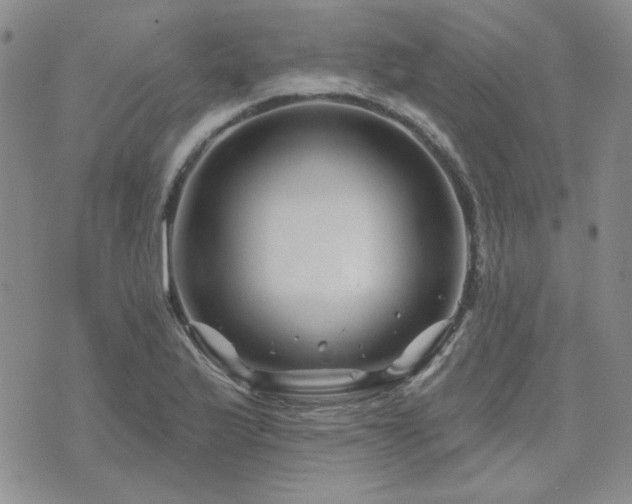 X0000071851175200606301330