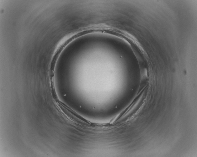 X0000071851176200606301330