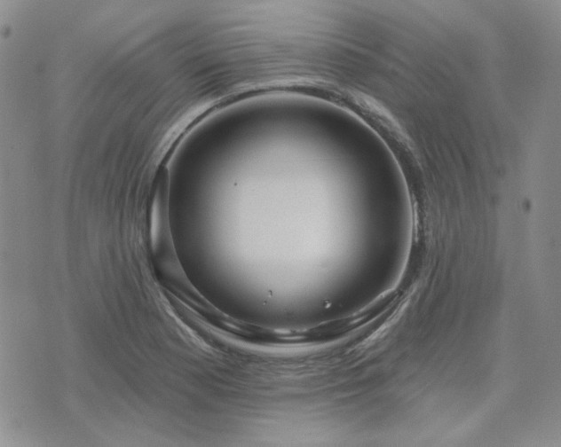 X0000071851177200606301330