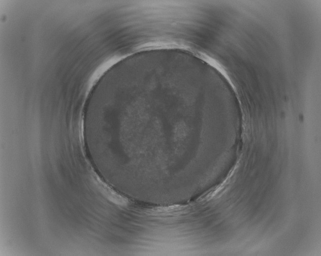 X0000071851179200606301330