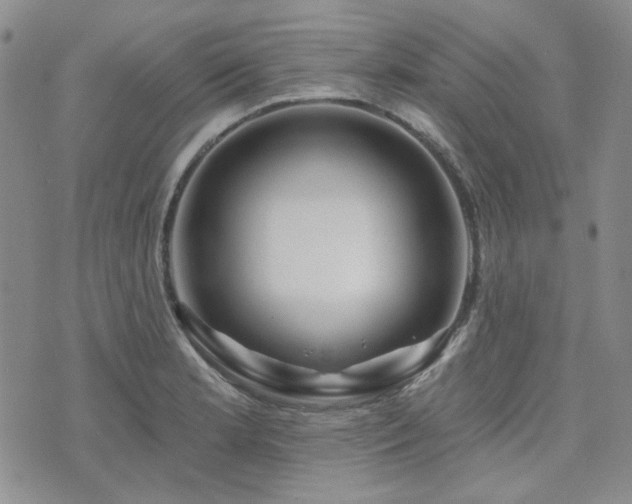 X0000071851181200606301330