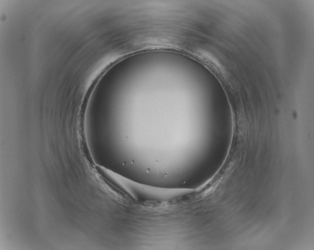 X0000071851182200606301330