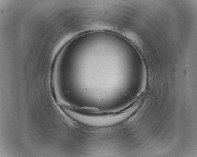 X0000071851183200606301330