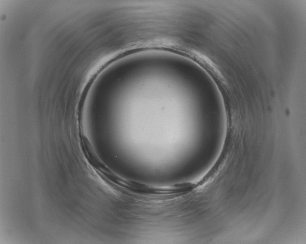 X0000071851184200606301330