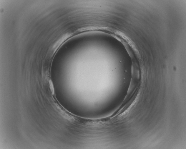 X0000071851185200606301330