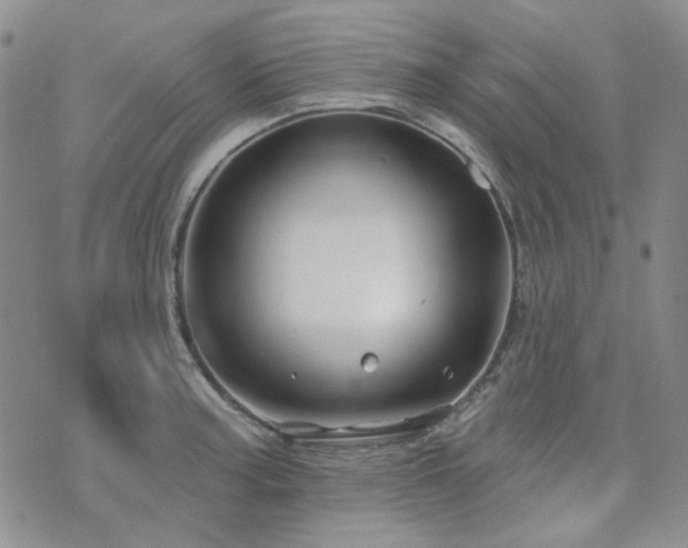 X0000071851187200606301330