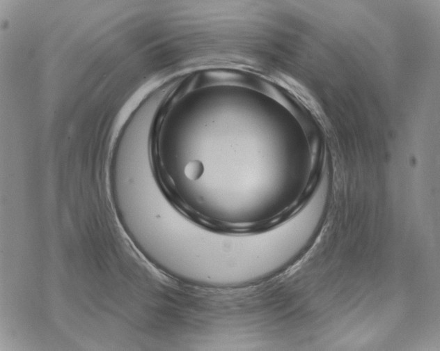 X0000071851188200606301330