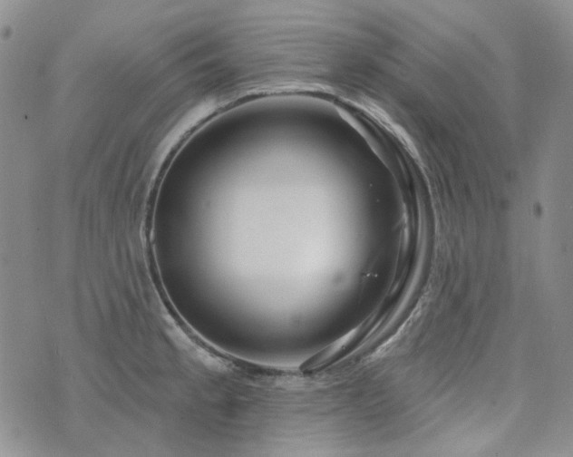 X0000071851189200606301329