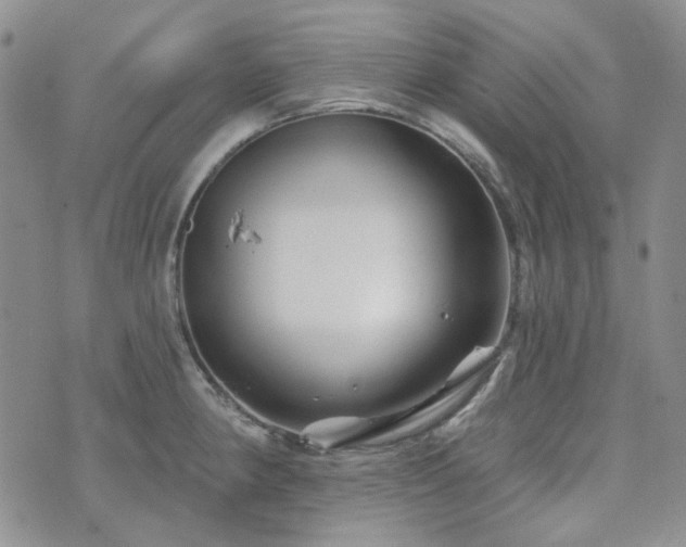 X0000071851190200606301329