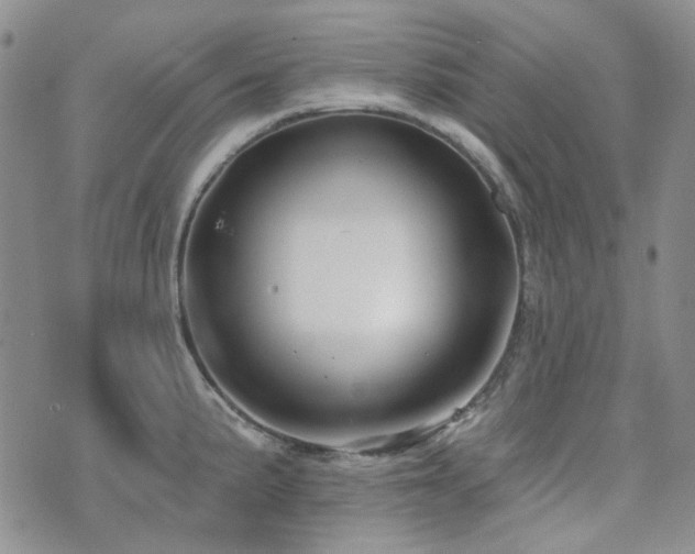 X0000071851191200606301329