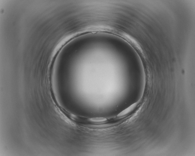 X0000071851192200606301329