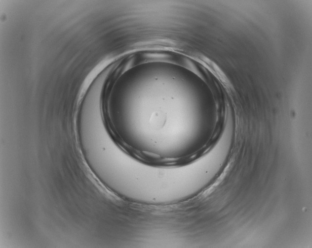 X0000071851196200606301329