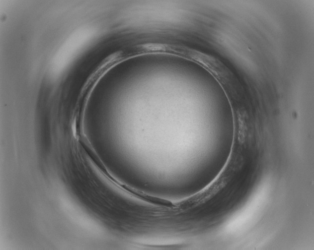 X0000071851198200606301329