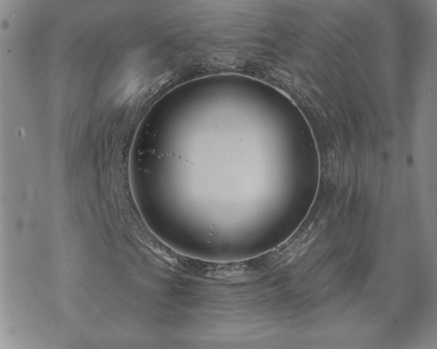 X0000071851201200606301329