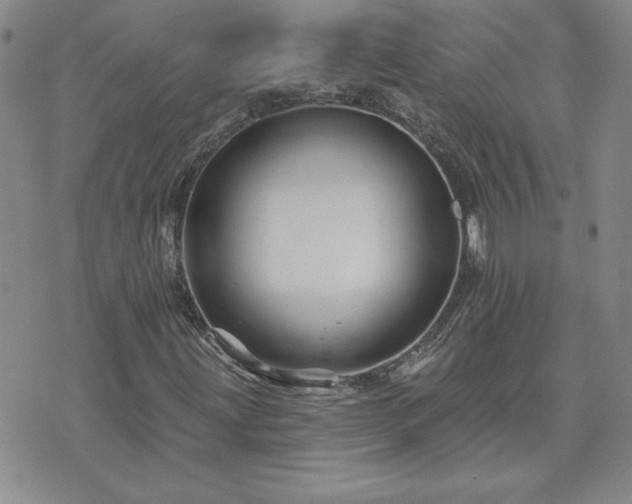 X0000071851203200606301329