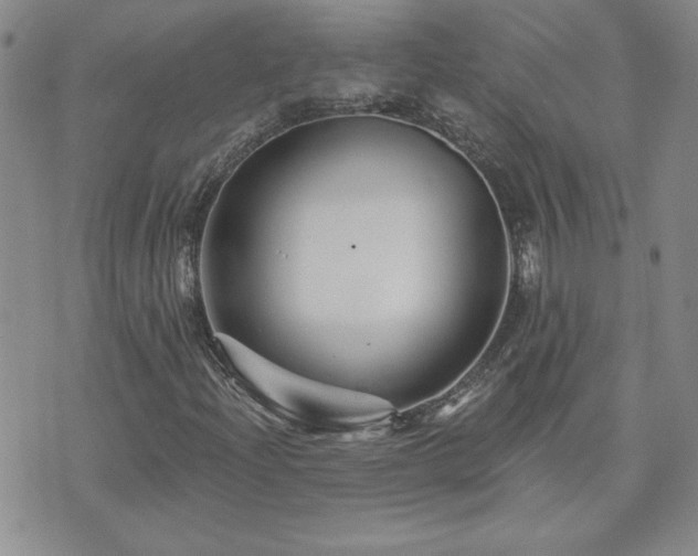 X0000071851204200606301329