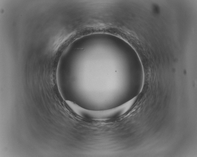 X0000071851205200606301329