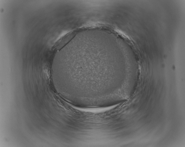 X0000071851206200606301329