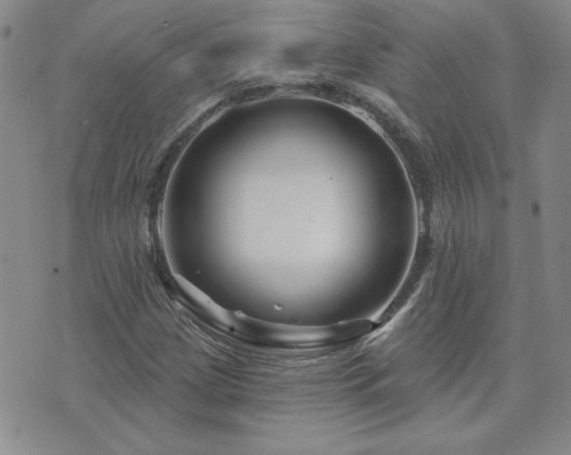 X0000071851209200606301329