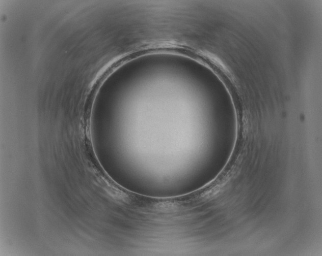 X0000071851212200606301329