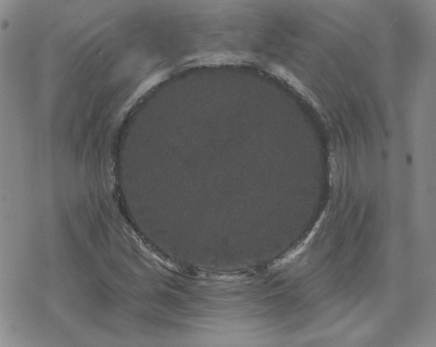 X0000071851213200606301329