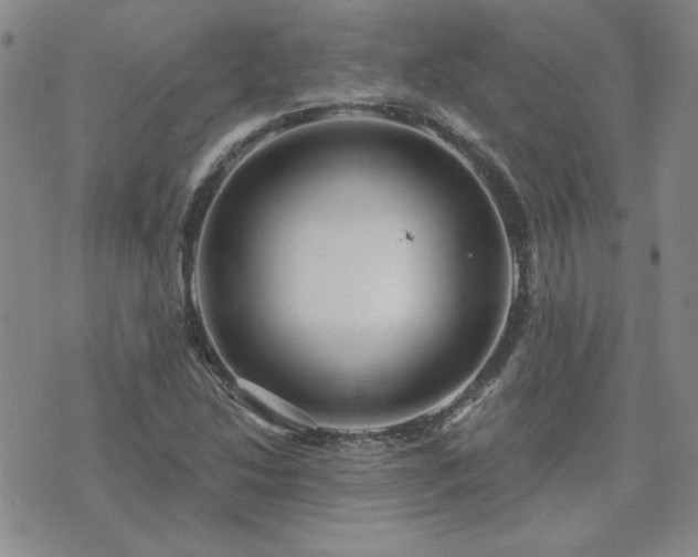 X0000071851214200606301329