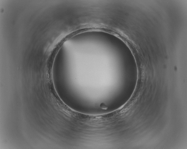 X0000071851215200606301329