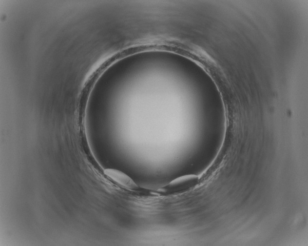 X0000071851216200606301329