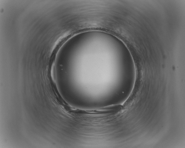 X0000071851218200606301329