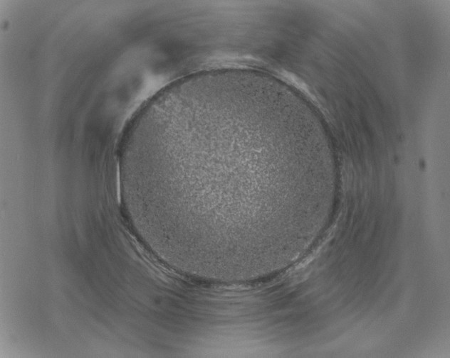 X0000071851219200606301329