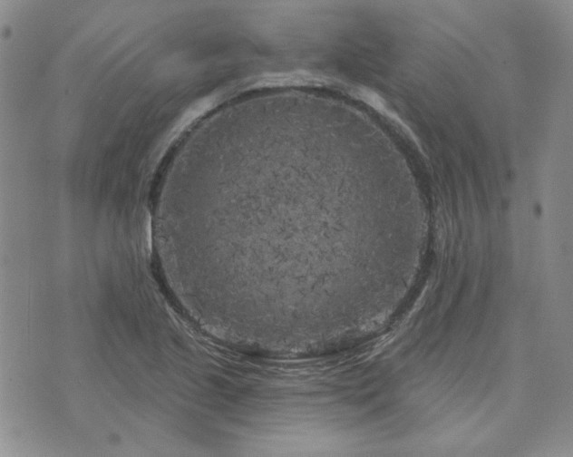 X0000071851221200606301329