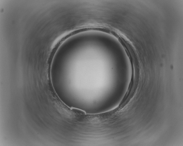 X0000071851222200606301329