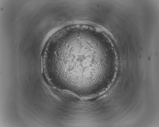 X0000071851223200606301329