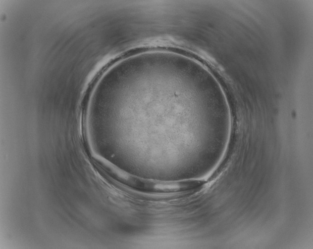 X0000071851224200606301329