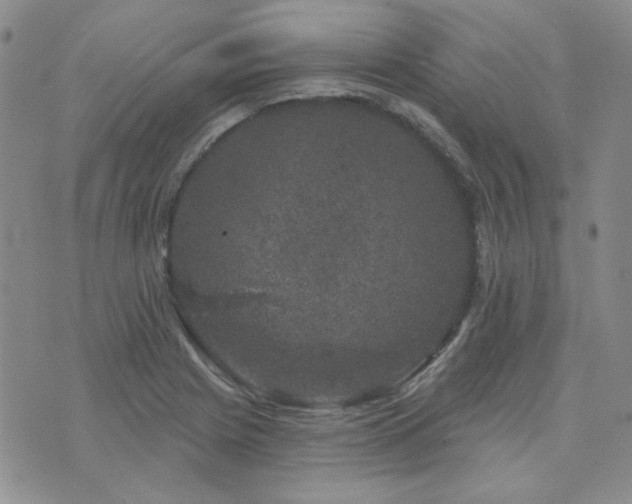 X0000071851225200606301329