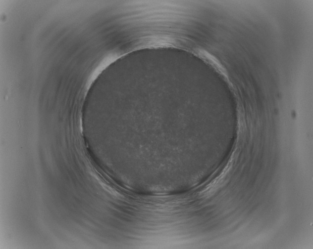 X0000071851226200606301329