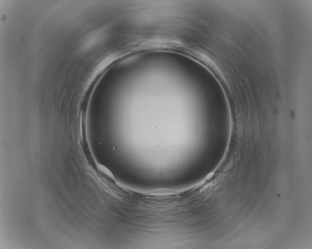 X0000071851227200606301329