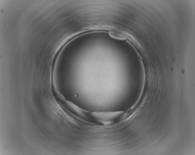 X0000071851228200606301329