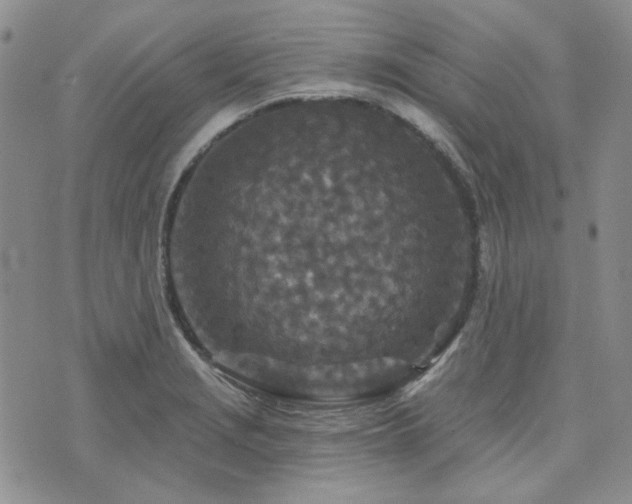 X0000071851229200606301329