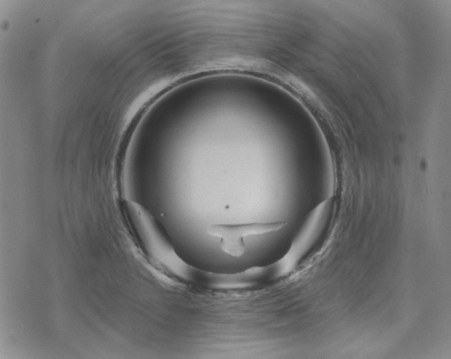 X0000071851230200606301329