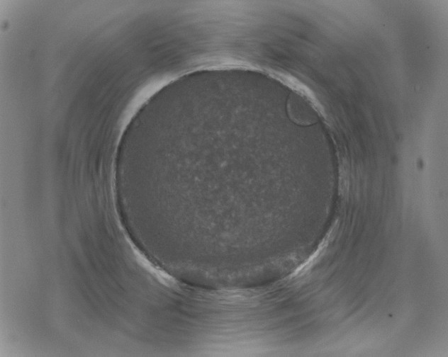 X0000071851231200606301329