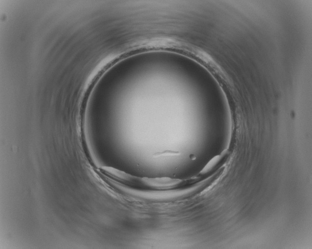 X0000071851232200606301329