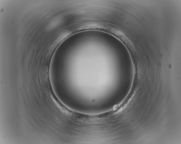 X0000071851233200606301329